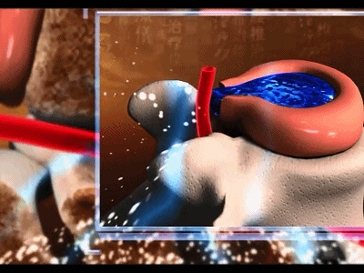 1688899408775798.gif 19.gif