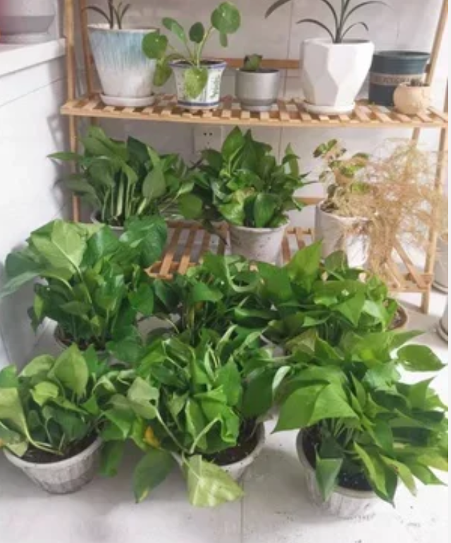 1701334437404107.png 8a50aafbc041d5adfd9ffc680c7e383.png