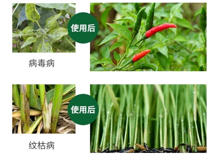 1704714944541300.jpg 11_20230925151703_928.jpg