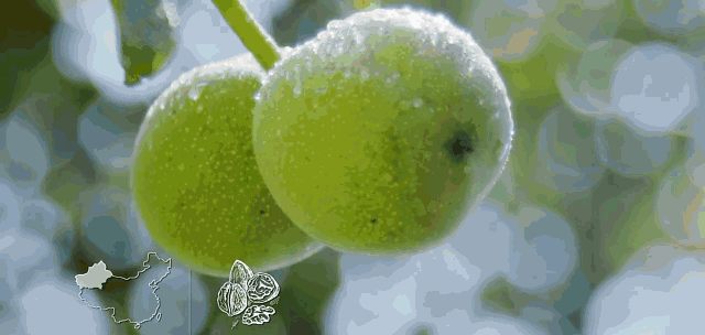 1710422613669984.gif 14.gif