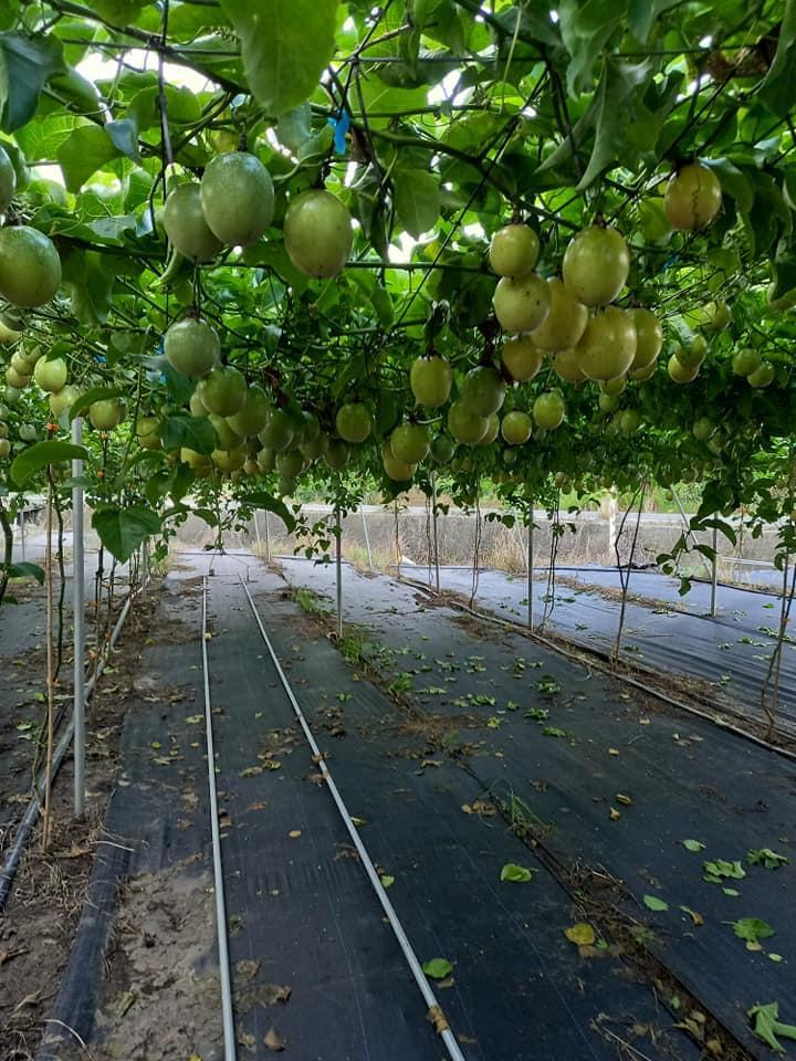 1717771129326214.jpg 1.jpg