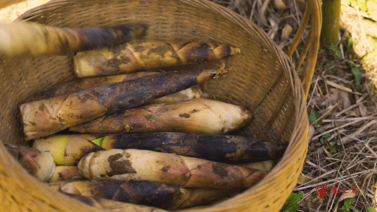 1718721479894635.png e4a47927348228eaa3022935b5417d4.png