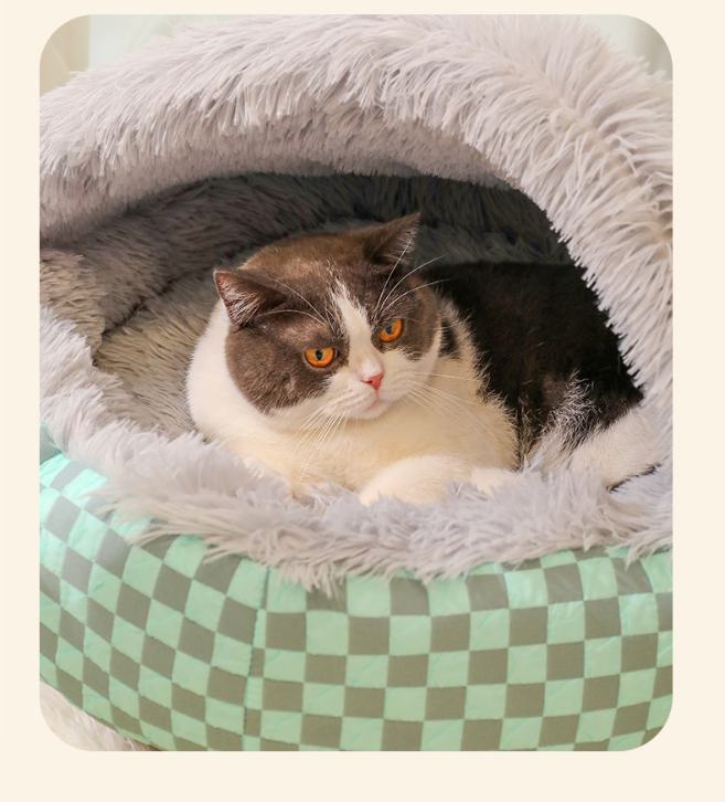 1730527310313966.png cc56a4f59ac398b36f8f08039a7fc93.png