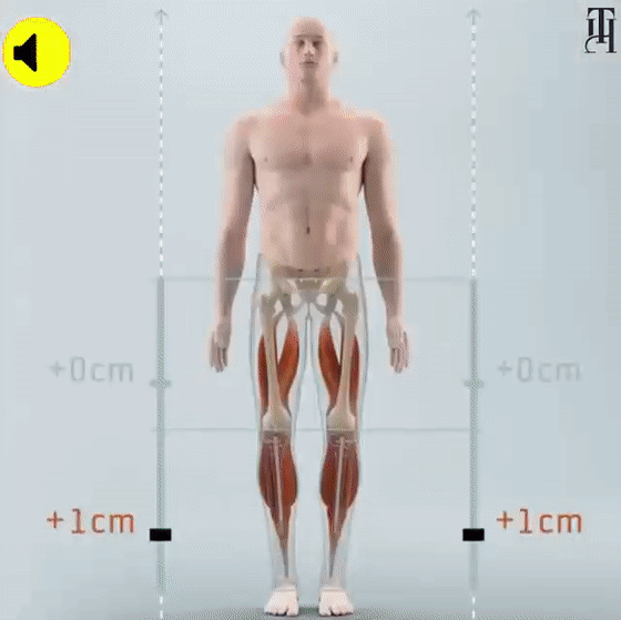 1731472893540716.gif c332d84d7db7437cb9370ddc73da5656.gif